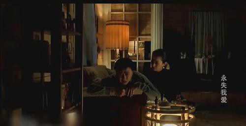 永失我爱在线观看,感人至深的爱情故事在线观看